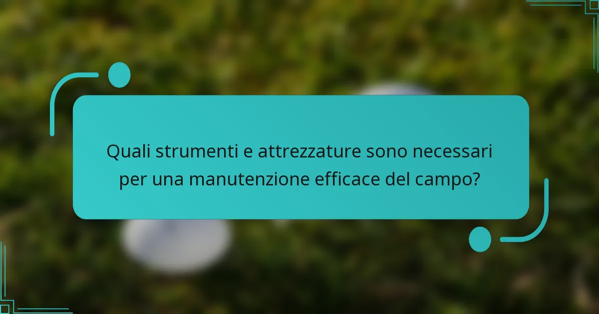 Quali strumenti e attrezzature sono necessari per una manutenzione efficace del campo?